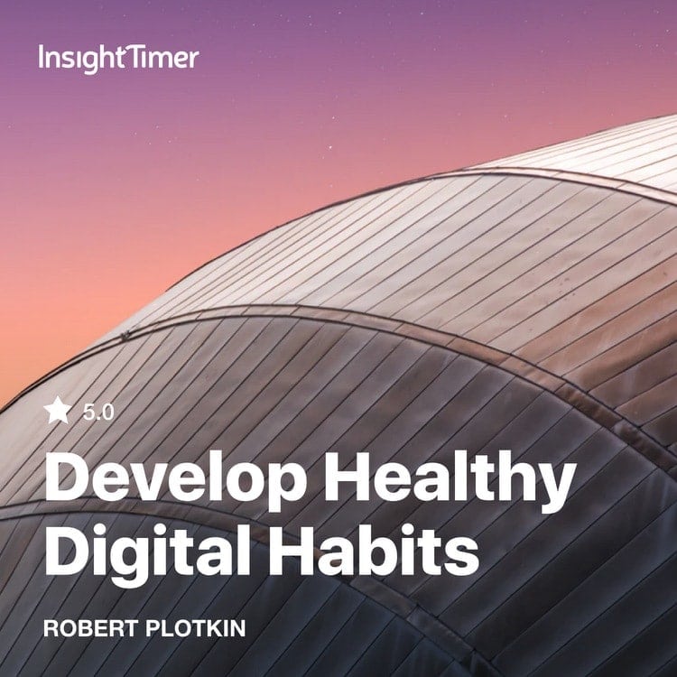 Develop Healthy Digital Habits - Insight Timer course
