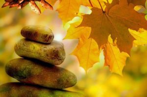 November Mindfulness, Meditation, and Technology Roundup